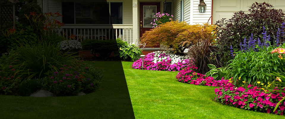 Wexford Landscapers