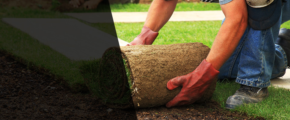 Wexford Landscapers